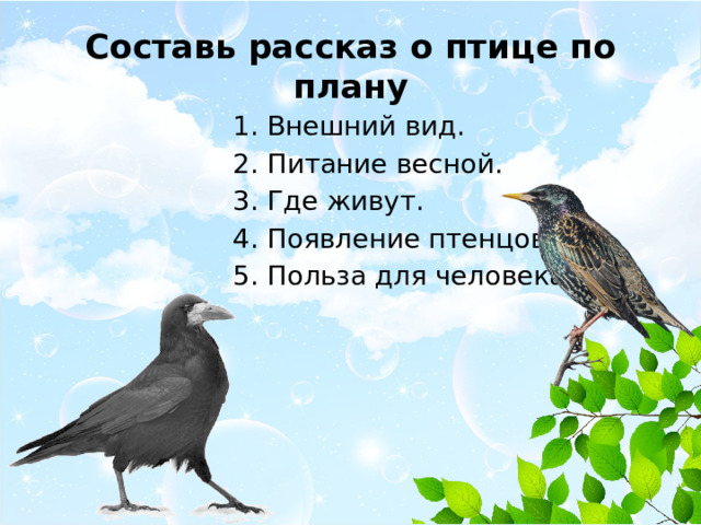 Составь рассказ о птице по плану 1. Внешний вид. 2. Питание весной. 3. Где живут. 4. Появление птенцов. 5. Польза для человека. 