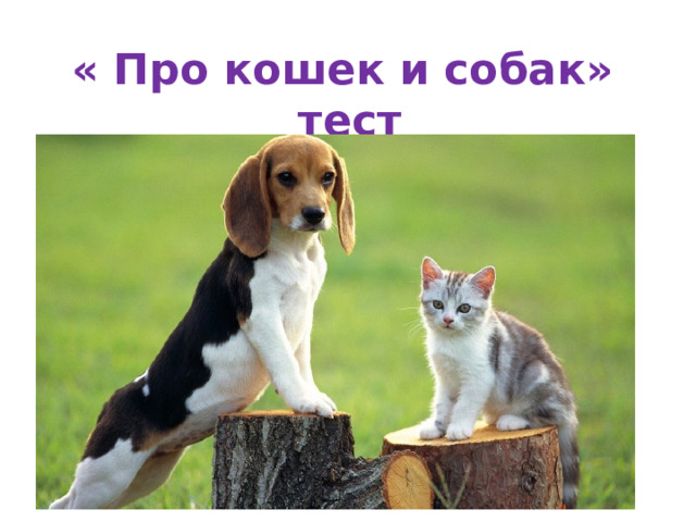 « Про кошек и собак»  тест 