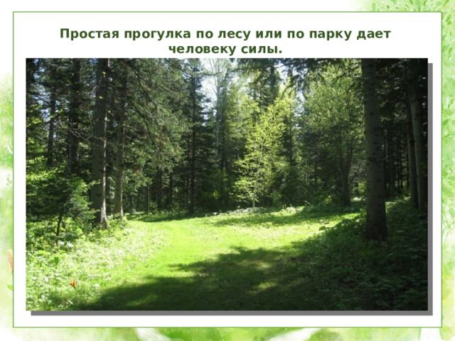 Простая прогулка по лесу или по парку дает человеку силы.