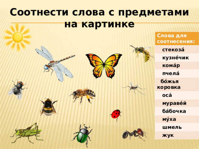 Соотнести слова с предметами на картинке Слова для соотнесения:  стекоза́  кузне́чик  кома́р  пчела́  бо́жья коровка  оса́  мураве́й  ба́бочка  му́ха  шмель  жук 