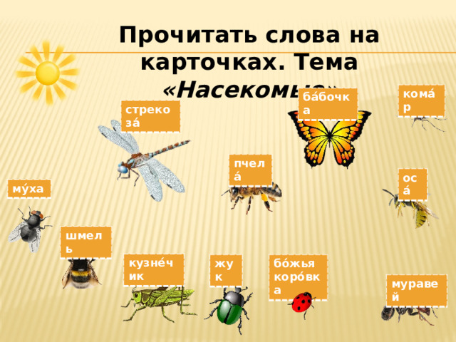 Прочитать слова на карточках. Тема «Насекомые» кома́р ба́бочка стрекоза́ пчела́ оса́ му́ха шмель кузне́чик бо́жья коро́вка жук муравей 