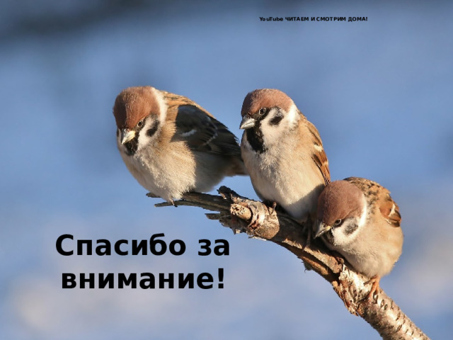 YouTube ЧИТАЕМ И СМОТРИМ ДОМА! Спасибо за внимание! 