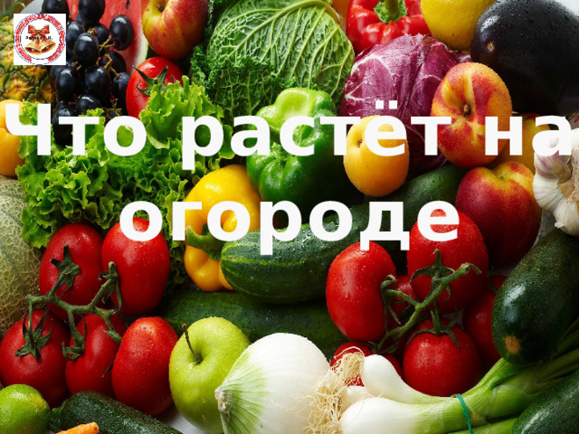 Что растёт на огороде 