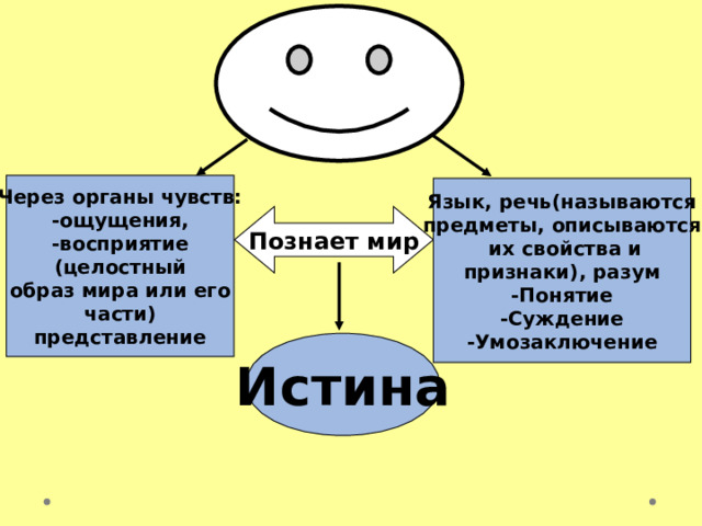 Через органы чувств: -ощущения, -восприятие (целостный образ мира или его части) представление Язык, речь(называются предметы, описываются  их свойства и признаки), разум -Понятие -Суждение -Умозаключение Познает мир Истина 