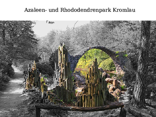 Azaleen- und Rhododendrenpark Kromlau 