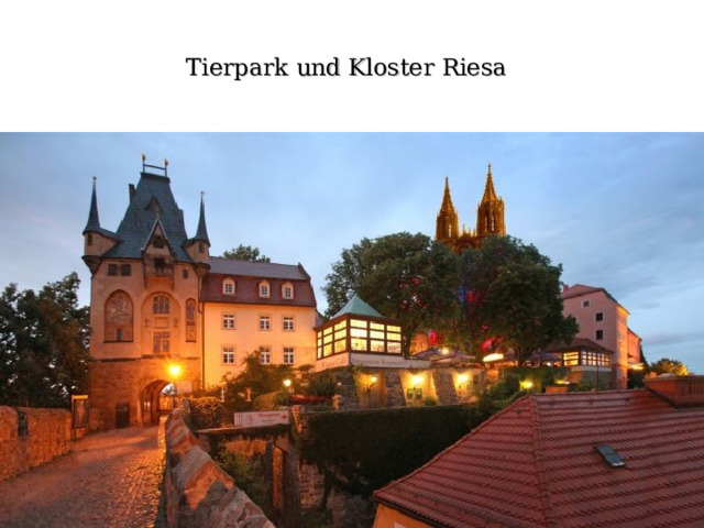 Tierpark und Kloster Riesa 