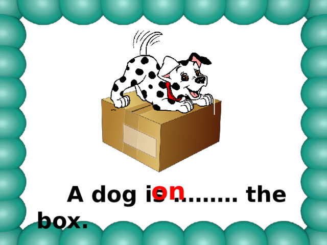 on  A dog is ……… the box. 