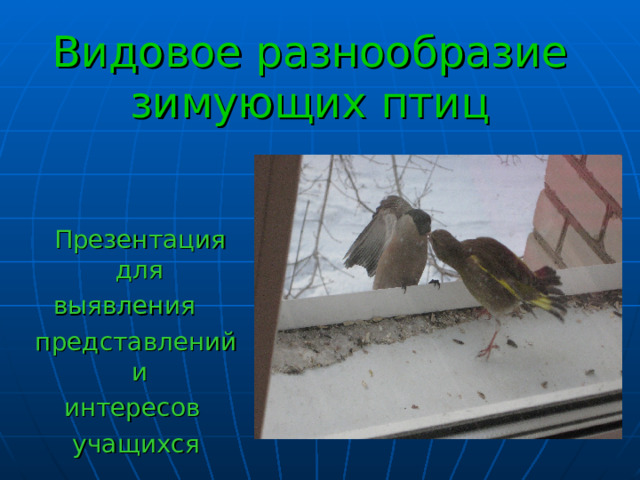 Видовое разнообразие зимующих птиц  Презентация для выявления представлений и интересов учащихся 