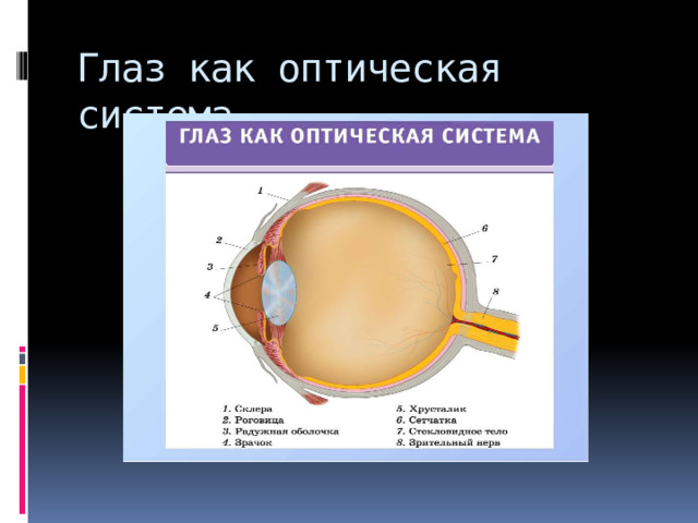 Глаз как оптическая система 