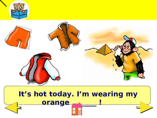  It’s hot today. I’m wearing my orange _______ !  