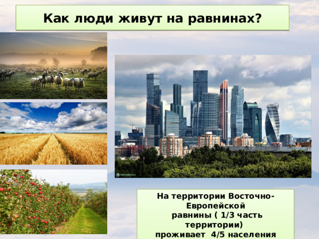Как люди живут на равнинах? На территории Восточно-Европейской  равнины ( 1/3 часть территории) проживает 4/5 населения страны 