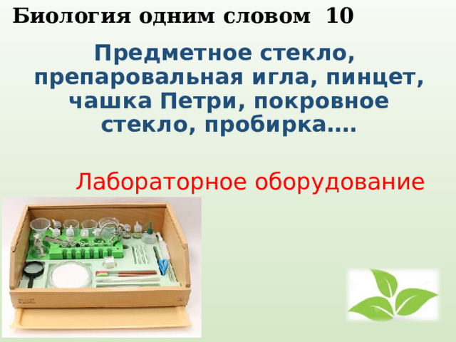  Биология одним словом 10   Предметное стекло, препаровальная игла, пинцет, чашка Петри, покровное стекло, пробирка…. Лабораторное оборудование 