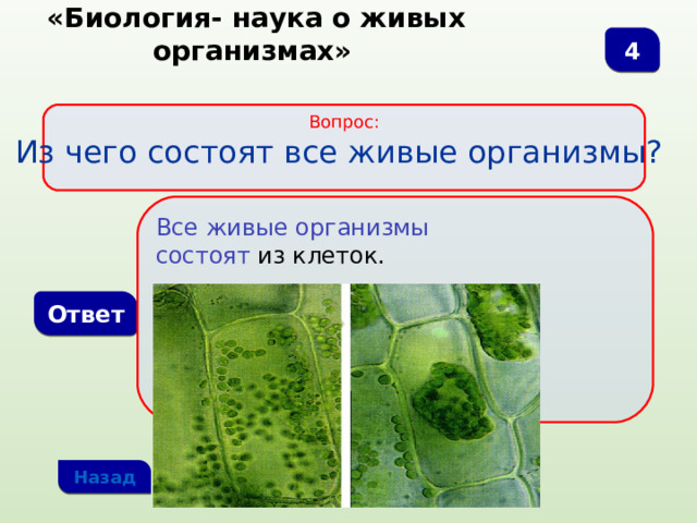  «Биология- наука о живых организмах» 4 Вопрос: Из чего состоят все живые организмы? Все живые организмы состоят из клеток. Ответ Назад 