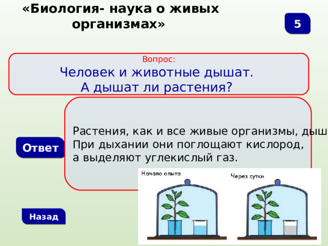  «Биология- наука о живых организмах» 5 Вопрос: Человек и животные дышат. А дышат ли растения? Растения, как и все живые организмы, дышат. При  дыхании они поглощают кислород, а выделяют углекислый газ. Ответ Назад 