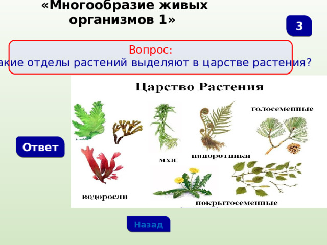  «Многообразие живых организмов 1» 3  Вопрос:  Какие отделы растений выделяют в царстве растения? Ответ Назад 