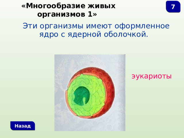 7  «Многообразие живых организмов 1»  Эти организмы имеют оформленное ядро с ядерной оболочкой. эукариоты Назад 