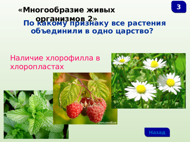 3 «Многообразие живых организмов 2»  По какому признаку все растения объединили в одно царство? Наличие хлорофилла в хлоропластах Назад 