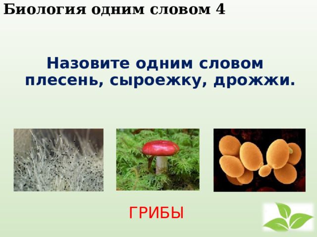 Биология одним словом 4    Назовите одним словом плесень, сыроежку, дрожжи. ГРИБЫ 