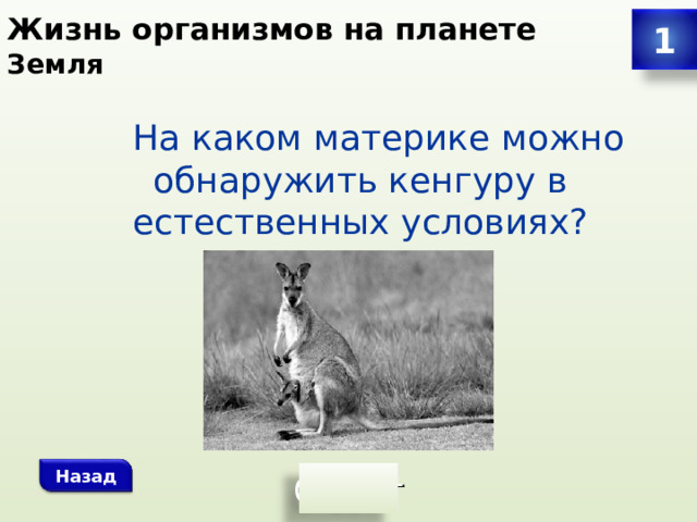 Жизнь организмов на планете Земля 1  На каком материке можно обнаружить кенгуру в естественных условиях? Назад 