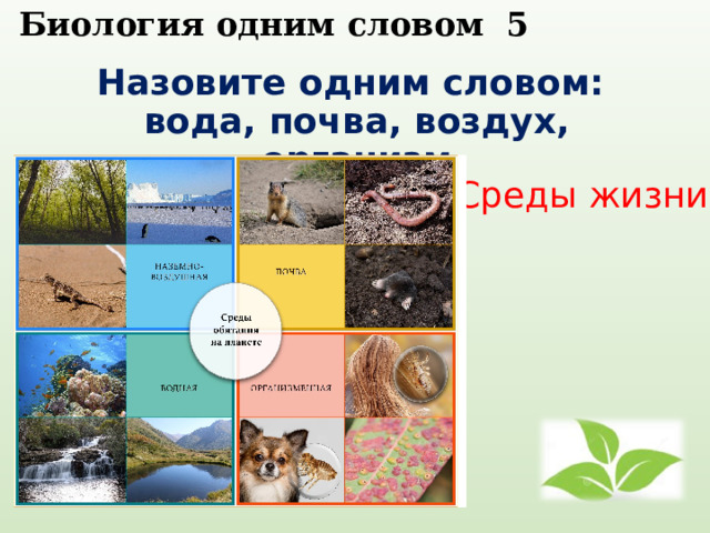  Биология одним словом 5   Назовите одним словом: вода, почва, воздух, организм Среды жизни 