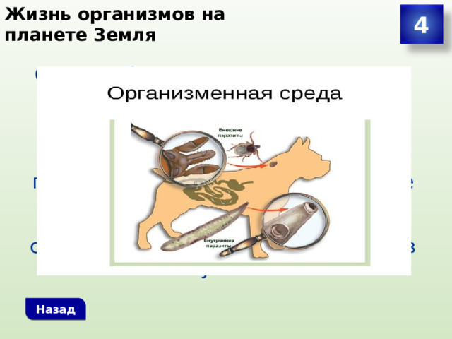 Жизнь организмов на планете Земля 4 Среда, образуемая самими живыми организмами, в которых обитают другие организмы. У организмов, обитающих в этой среде имеются специальные приспособления - присоски, крючья, плотные толстые оболочки, высокая плодовитость, прохождение сложных циклов со сменой хозяев и упрощения органов чувств Назад 