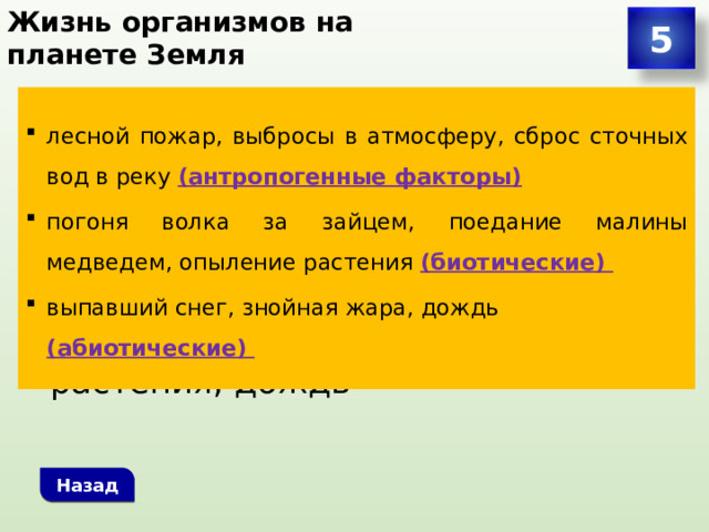 Жизнь организмов на планете Земля 5 Распределите факторы среды в три группы факторов: лесной пожар, погоня волка за зайцем, выпавший снег, выбросы в атмосферу, поедание малины медведем, знойная жара, сброс сточных вод в реку, опыление растения, дождь лесной пожар, выбросы в атмосферу, сброс сточных вод в реку (антропогенные факторы) погоня волка за зайцем, поедание малины медведем, опыление растения (биотические) выпавший снег, знойная жара, дождь (абиотические) Назад 