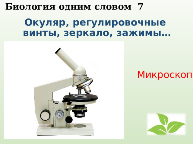  Биология одним словом 7   Окуляр, регулировочные винты, зеркало, зажимы…   Микроскоп 