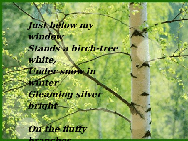 Just below my window  Stands a birch-tree white,  Under snow in winter  Gleaming silver bright   On the fluffy branches  Sparkling in a row  Dangle pretty tassels  Of the purest snow. 