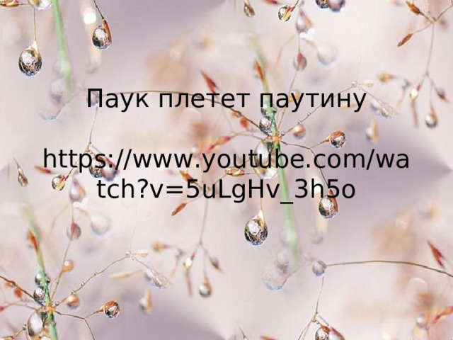 Паук плетет паутину   https://www.youtube.com/watch?v=5uLgHv_3h5o 