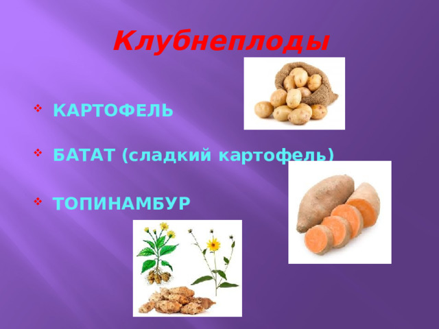 Клубнеплоды КАРТОФЕЛЬ БАТАТ (сладкий картофель) ТОПИНАМБУР 