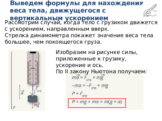 К динамометру привязан груз массой 2 кг