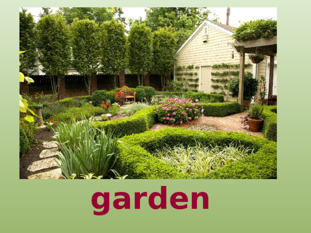 garden 