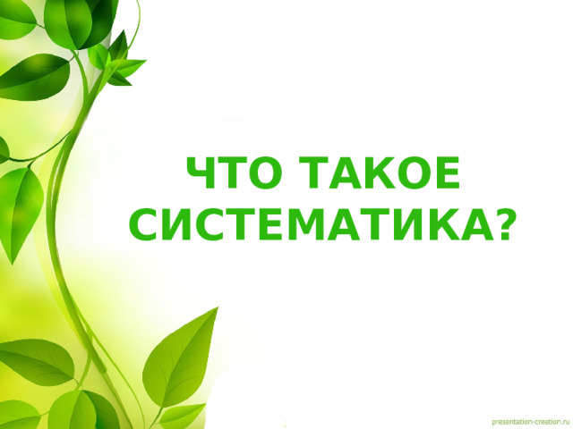 Что такое систематика? 