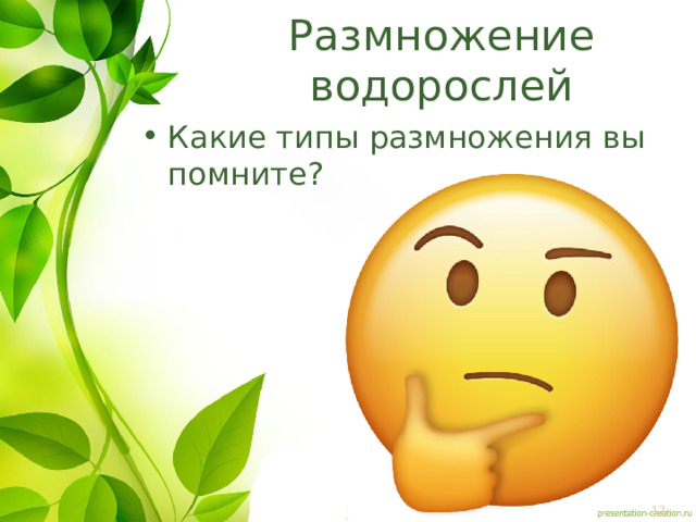 Размножение водорослей Какие типы размножения вы помните? 