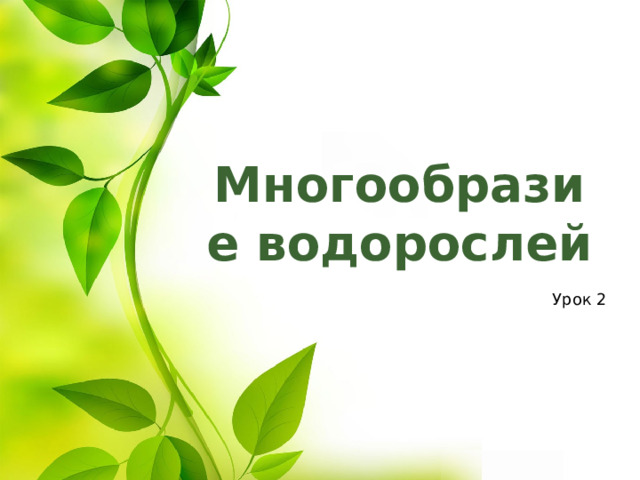 Многообразие водорослей Урок 2 