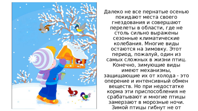 Далеко не все пернатые осенью покидают места своего гнездования и совершают перелеты в области, где не столь сильно выражены сезонные климатические колебания. Многие виды остаются на зимовку. Этот период, пожалуй, один из самых сложных в жизни птиц. Конечно, зимующие виды имеют механизмы, защищающие их от холода - это оперение и интенсивный обмен веществ. Но при недостатке корма эти приспособления не срабатывают и многие птицы замерзают в морозные ночи. Зимой птицы гибнут не от мороза, а от нехватки корма. Поэтому так важна подкормка птиц зимой. 