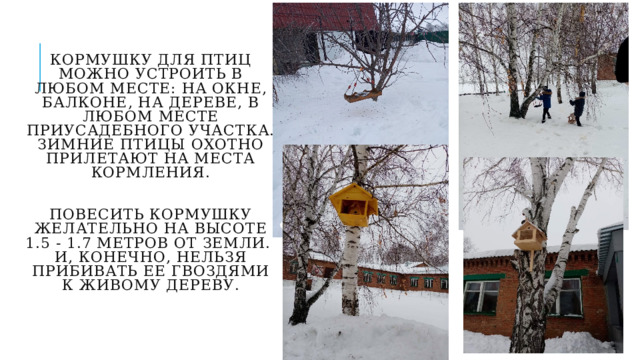 Кормушку для птиц можно устроить в  любом месте: на окне, балконе, на дереве, в  любом месте приусадебного участка.  Зимние птицы охотно прилетают на места  кормления.    Повесить кормушку желательно на высоте  1.5 - 1.7 метров от земли.  И, конечно, нельзя  прибивать ее гвоздями к живому дереву. 