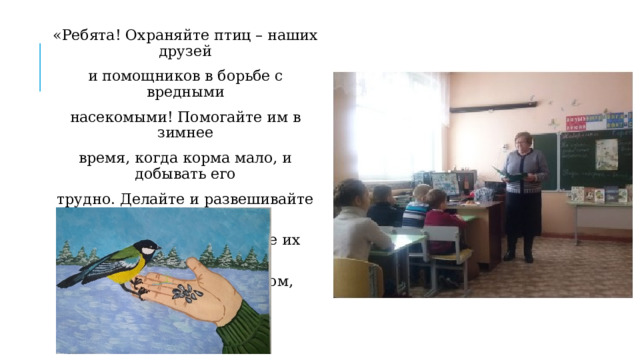 «Ребята! Охраняйте птиц – наших друзей и помощников в борьбе с вредными насекомыми! Помогайте им в зимнее время, когда корма мало, и добывать его трудно. Делайте и развешивайте домики для птиц, подкармливайте их семенами растений, ягодами, зерном, хлебом!» 