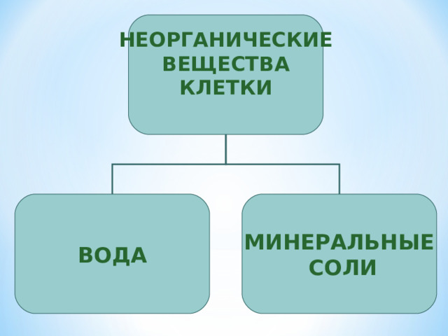 Неорганические микроэлементы клетки