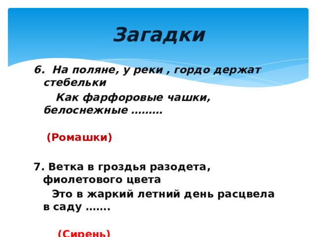 Загадки 6. На поляне, у реки , гордо держат стебельки  Как фарфоровые чашки, белоснежные ………  (Ромашки) 7. Ветка в гроздья разодета, фиолетового цвета  Это в жаркий летний день расцвела в саду …….  (Сирень) 