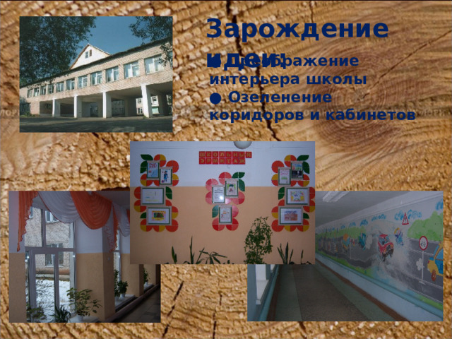 Зарождение идеи: ● Преображение интерьера школы ● Озеленение коридоров и кабинетов   