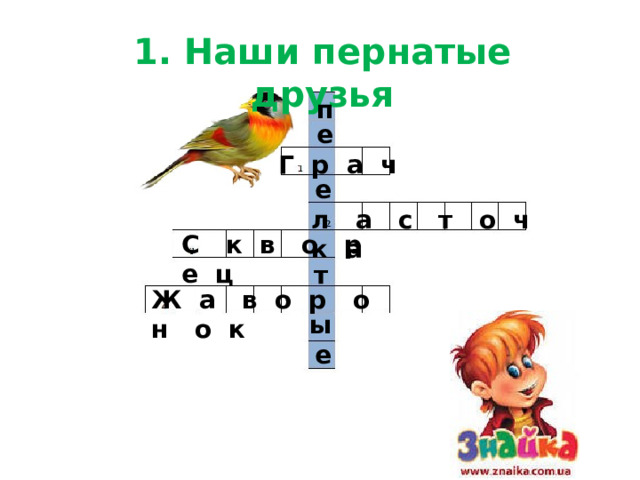 1. Наши пернатые друзья п е Г р а ч е л а с т о ч к а С к в о р е ц т Ж а в о р о н о к ы е 