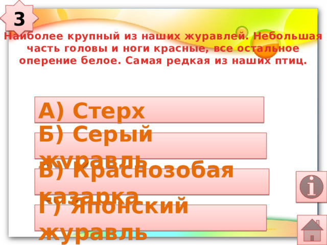 3 Наиболее крупный из наших журавлей. Небольшая часть головы и ноги красные, все остальное оперение белое. Самая редкая из наших птиц. А) Стерх Б) Серый журавль В) Краснозобая казарка Г) Японский журавль 