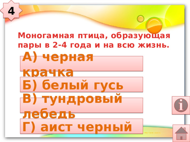 4 Моногамная птица, образующая пары в 2-4 года и на всю жизнь. А) черная крачка Б) белый гусь В) тундровый лебедь Г) аист черный 