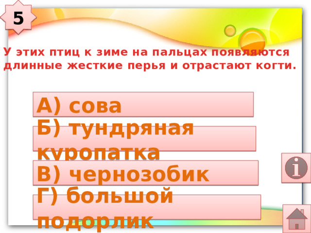 5 У этих птиц к зиме на пальцах появляются длинные жесткие перья и отрастают когти. А) сова Б) тундряная куропатка В) чернозобик Г) большой подорлик  