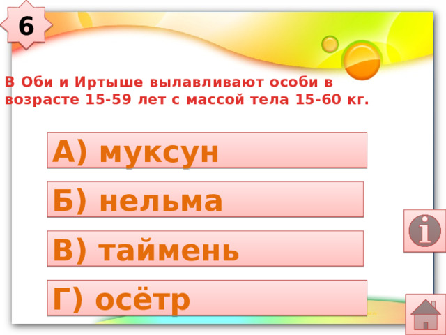 6 В Оби и Иртыше вылавливают особи в возрасте 15-59 лет с массой тела 15-60 кг. А) муксун Б) нельма В) таймень Г) осётр 