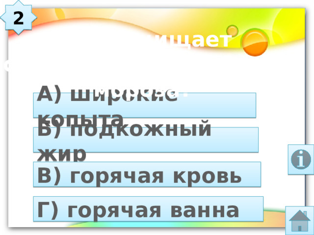 2 Что защищает северных животных от мороза? А) широкие копыта Б) подкожный жир В) горячая кровь Г) горячая ванна 