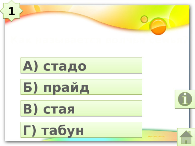 1 Как называется волчья семья? А) стадо Б) прайд В) стая Г) табун 