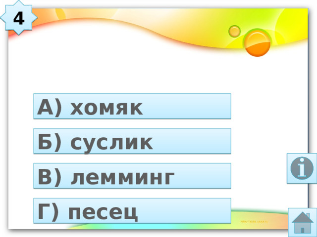 4 Маленький северный грызун это …   А) хомяк Б) суслик В) лемминг Г) песец 