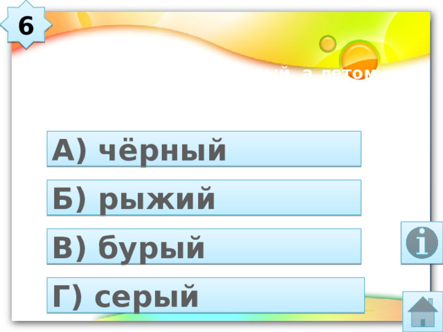 6  У песца зимой мех белый, а летом …   А) чёрный Б) рыжий В) бурый Г) серый 